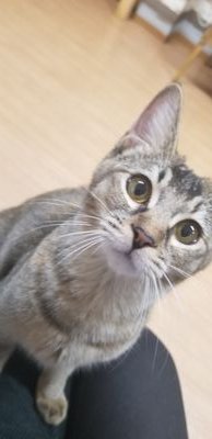 mERtc5F1ThMKKp5's profile picture. 