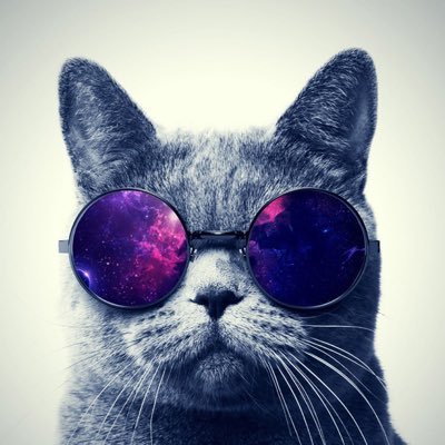 Liang8690's profile picture. Simple