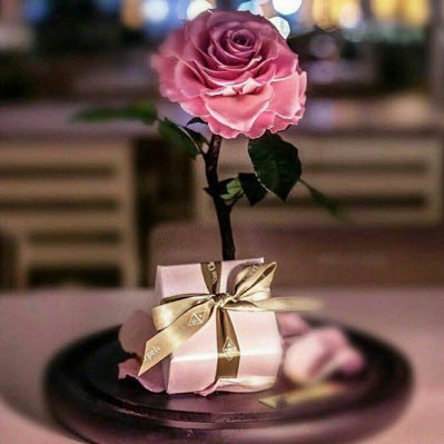 ubBi4NC6P21A0Ry's profile picture. الحساسه