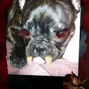 Scott kohl - @Tradesize - Twitter