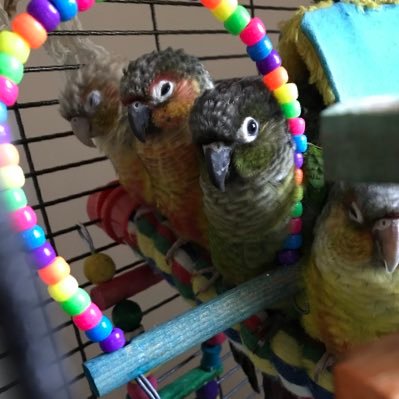 iman36522953's profile picture. 