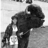 Hoosier Bison (@hoosierbison) 's Twitter Profile