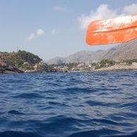 annalisa (@annalisa_setti) 's Twitter Profile Photo