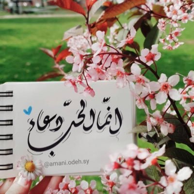 Don’t lose hope 🌟