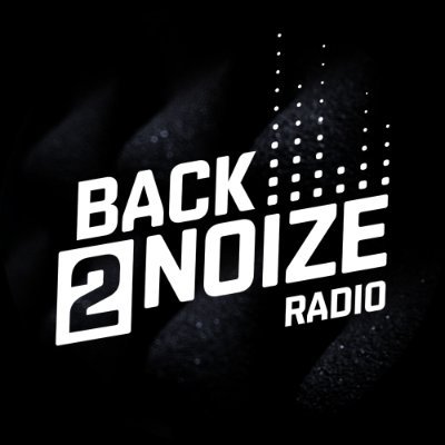 Back2Noize Profile Picture