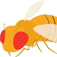 Hilgers Lab @hilgerslab.bsky.social (@hilgers_lab) 's Twitter Profile
