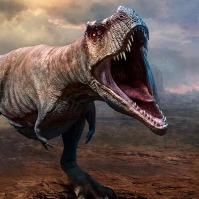 @dinocupさんのプロフィール画像