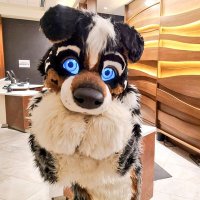 ENDØRPHINE. find me at GSFC and say hi!(@EndorphineDog) 's Twitter Profile Photo