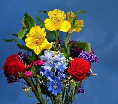 jtrMJkEcap3iBp5's profile picture. حسبي الله ونعم الوكيل