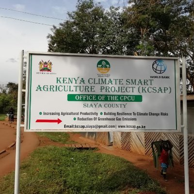 KcsapSiaya's profile picture. 