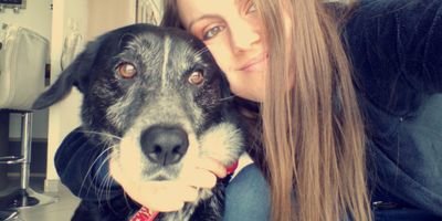 BrntElo's profile picture. 🐴 MCA 
.
.

01/19🍀