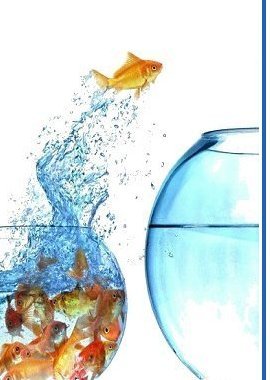 coolchany's profile picture. 