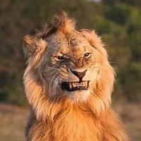 Biyolog Bey 😎🇹🇷🐺🐵🦁🐄🦕🦑🐚💐🐝🌺 (@caner_sapiens) 's Twitter Profile