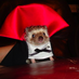 Gordon Lewis (@gordoburrito) Twitter profile photo