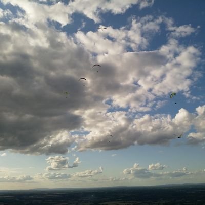 maggiewood's profile picture. 