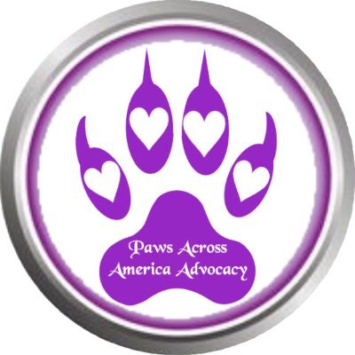 charliegirl1221's profile picture. Teach children empathy, Save the world