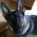 Miranda Duncan - @Miranda_Duncan - Twitter