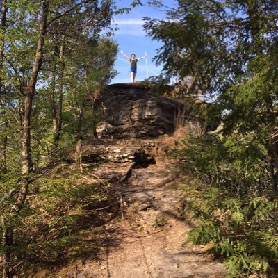 asmit241's profile picture. 