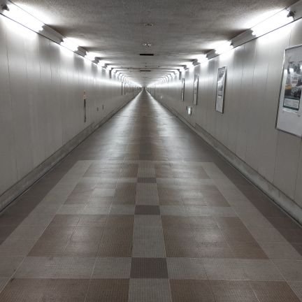 shiranbasho's profile picture. 京大熊野寮祭企画「エクストリーム帰寮」の運営のアカウントです！