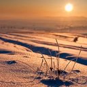 Amira Saad - @AmiraSa00856018 - Twitter