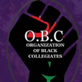 The Organization of Black Collegiates at Thiel College. Join us in spreading diversity awareness and inclusion while having a great time. ✊🏼✊🏽✊🏾✊🏿