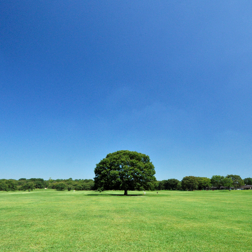 国営昭和記念公園