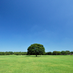 国営昭和記念公園 (@showakinenpark) Twitter profile photo 国営昭和記念公園 (@showakinenpark) Twitter profile photo