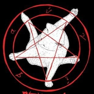 Instagram/Letterboxd: @SwordAndShotgun - exploitation cinema and other poor choices