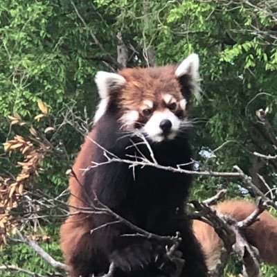 tukaisutea's profile picture. 