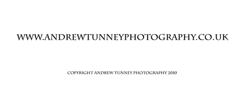 ATPhotography1's profile picture. Supplying stunning images to clients throughout the uk. Weddings, Portraits, Commercial and Landscape Photography..