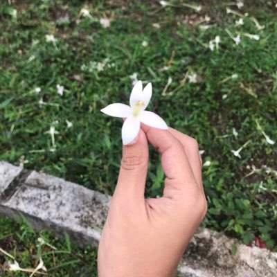 จุ้มเหลียด คือภาษาใต้