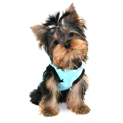 My Pets Wardrobe Mypetswardrobe Twitter