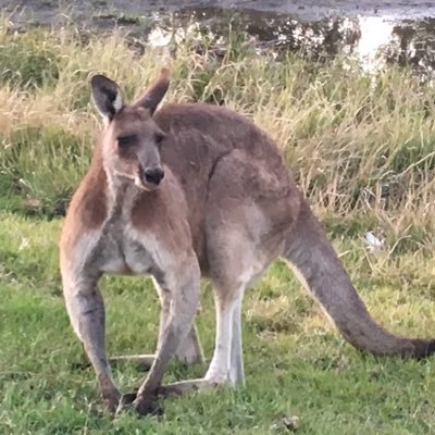 ElinorHawkins16's profile picture. 