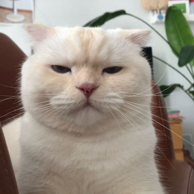 แง้วอ้นさんのプロフィール画像