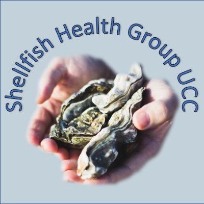 Research group in @uccBEES & @eriucc focussed on Shellfish Health. Interests include oysters, cockles, mussels,disease management, aquaculture & climate change.