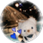 tyo_yume
