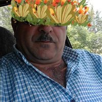 Mahmut (@mahmut40211511) 's Twitter Profile