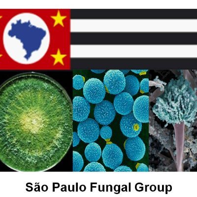 We are really interested in Fungal Biology