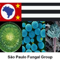 São Paulo Fungal Group (@fungalsao) 's Twitter Profile Photo São Paulo Fungal Group (@fungalsao) 's Twitter Profile Photo