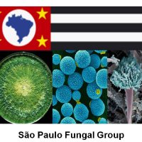 São Paulo Fungal Group(@FungalSao) 's Twitter Profile Photo