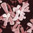 bifide's profile image