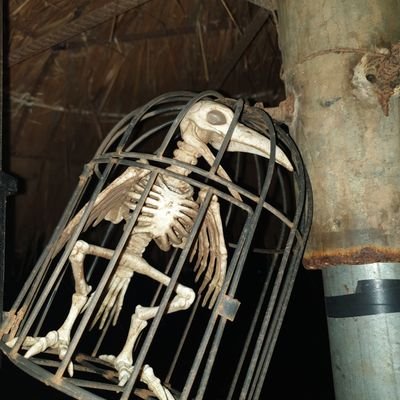 edwardalagoa's profile picture. 