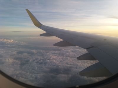 Justtho02771739's profile picture. I just want to tweet all that goes from my mind.