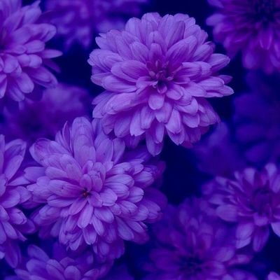 sakiko9011k's profile picture. ミシンもバックも大好き💓♥️❤️
毎日、5分でもミシンしてます💕💕
自己流で、バック、巾着、ポーチなど作ってます💗💗💗