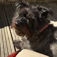 Gemma Halliwell (@halliwell_gemma) 's Twitter Profile Photo Gemma Halliwell (@halliwell_gemma) 's Twitter Profile Photo
