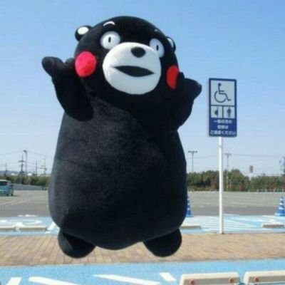 summerd22334601's profile picture. 