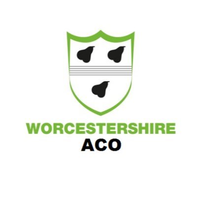 Supporting cricket umpires and scorers in Worcestershire.