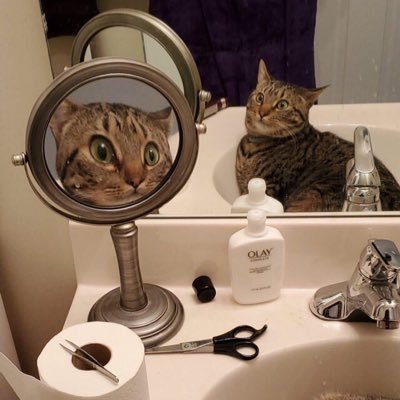 hodoohappycat's profile picture. 