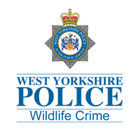 WYP Wildlife (@wyp_wildlife) 's Twitter Profile Photo WYP Wildlife (@wyp_wildlife) 's Twitter Profile Photo