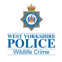 WYP Wildlife(@WYP_Wildlife) 's Twitter Profile Photo